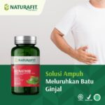 Obat Herbal Batu Ginjal Paling Ampuh: Renathib Naturafit
