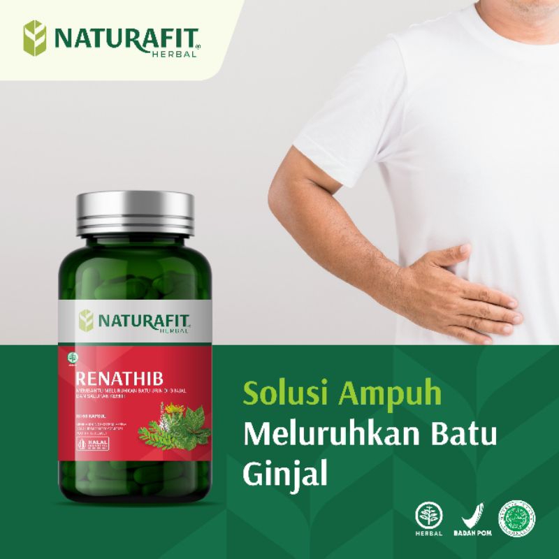 Gambar Herbal Renathib Untuk Batu Ginjal