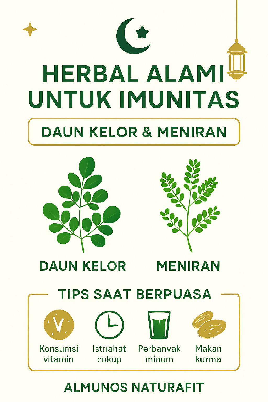 gambar ilustrasi infografis herbal alami untuk imunitas