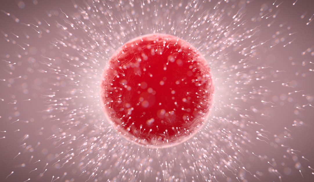 Sperma Sehat: Cara Meningkatkan Kesuburan Pria Secara Alami