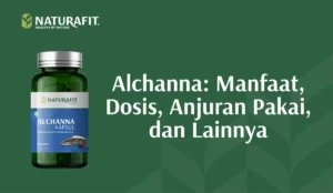 Alchanna Manfaat Indikasi Anjuran Pakai dan Lainnya