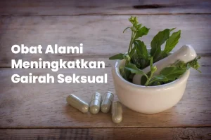 obat alami meningkatkan gairah seksual