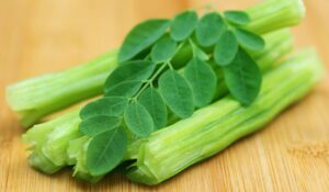 khasiat daun kelor