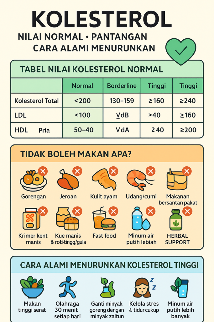 infografis kolesterol