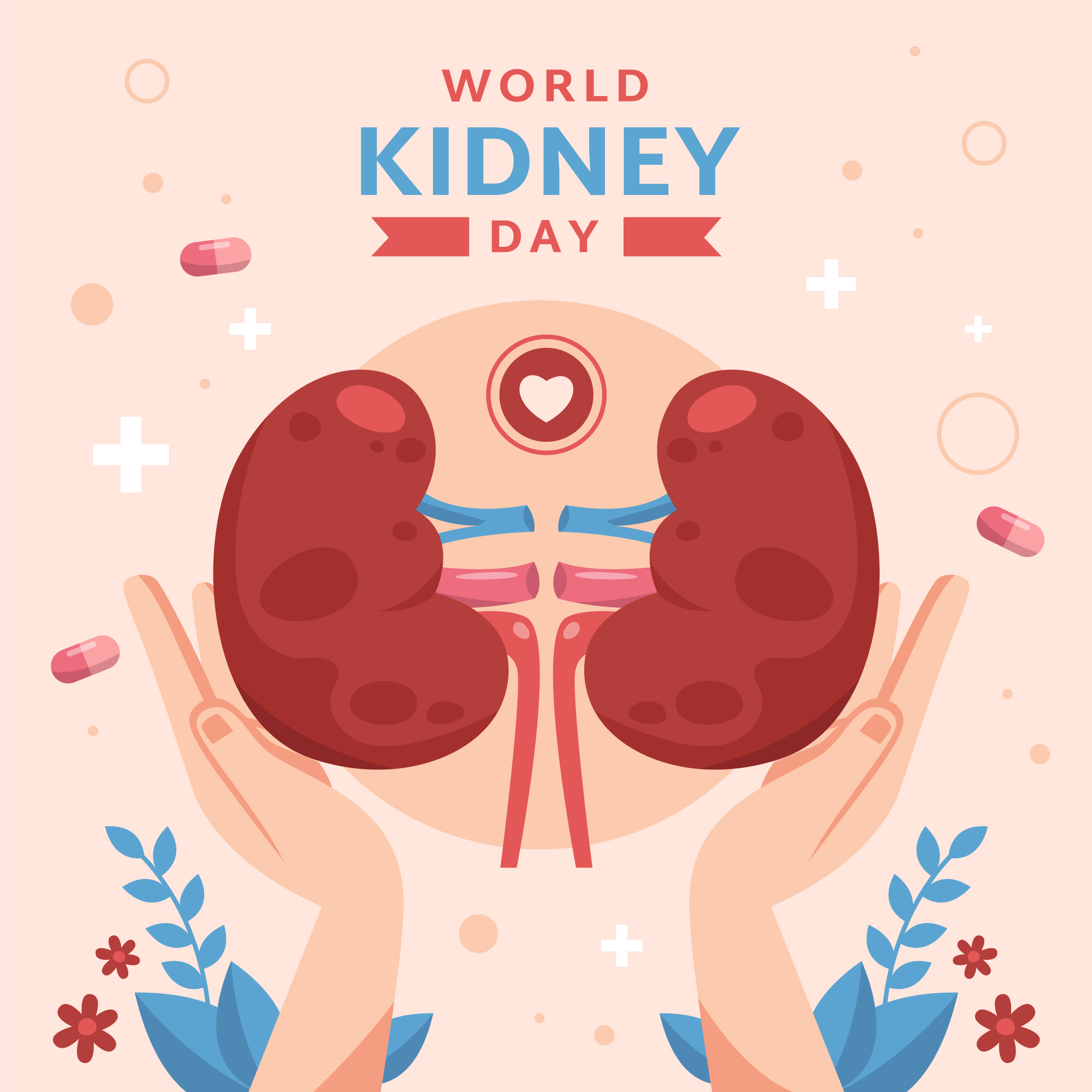 Cara Memperkuat Fungsi Ginjal Secara Alami dan Aman