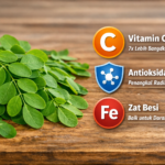 Daun Kelor untuk Daya Tahan Tubuh: Manfaat & Cara Konsumsi