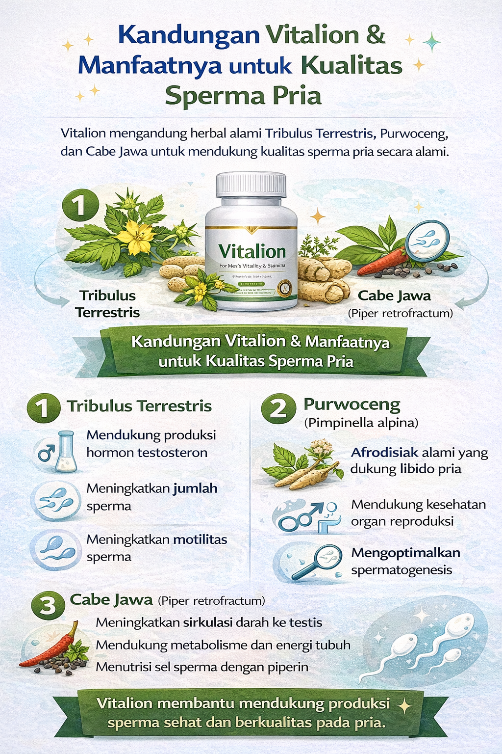 Kandungan Vitalion untuk kualitas sperma