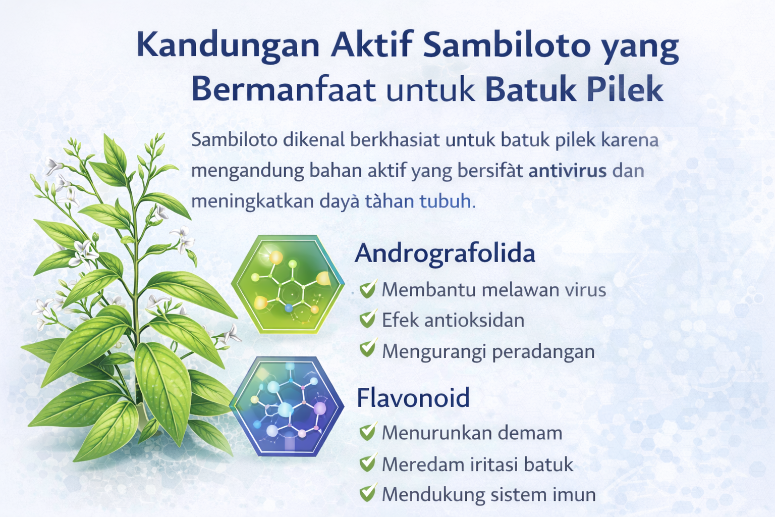 Kandungan aktif sambiloto untuk batuk pilek