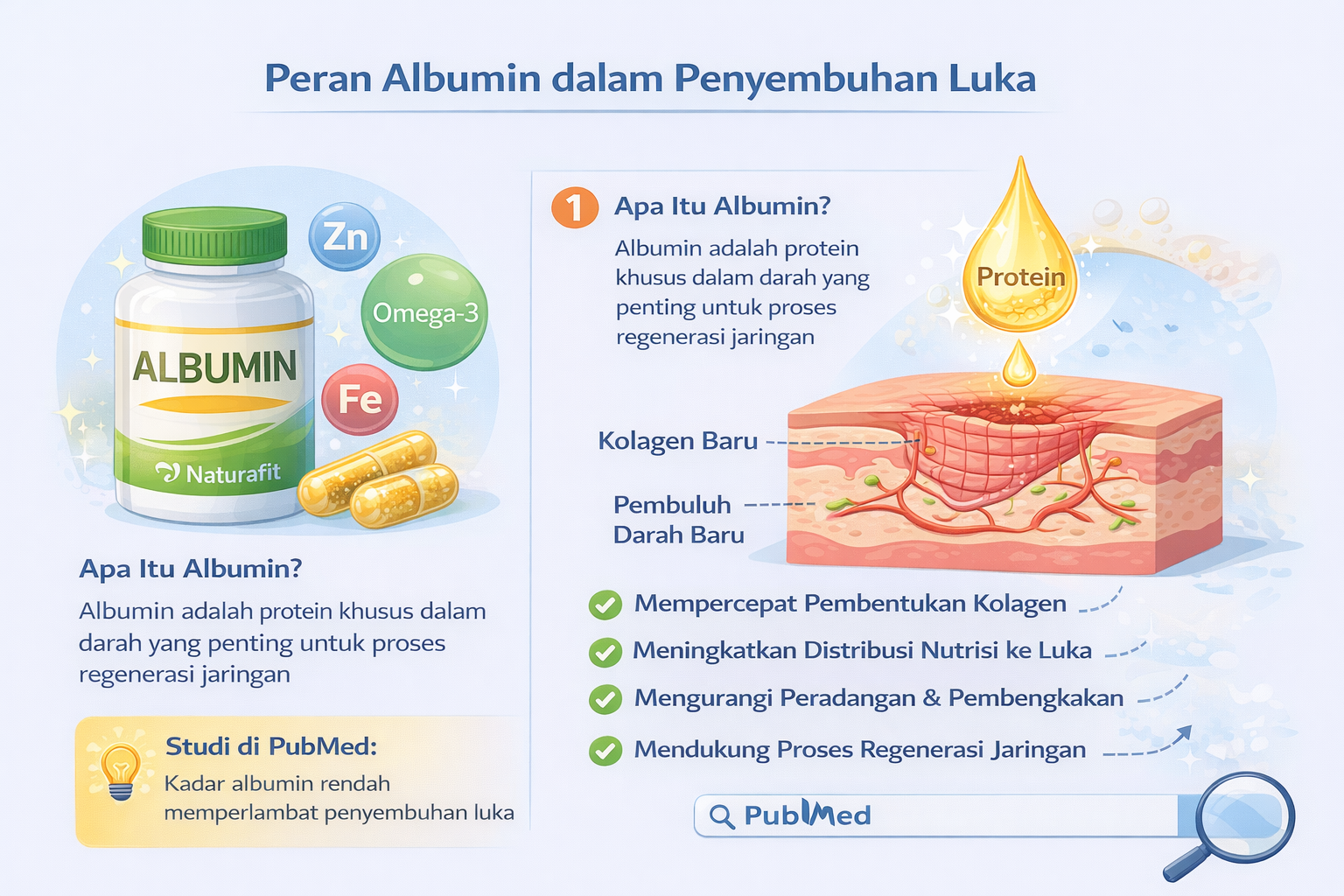 Peran albumin dalam penyembuhan luka