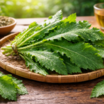 Daun Tempuyung untuk Hipertensi: Khasiat & Cara Aman Konsumsi