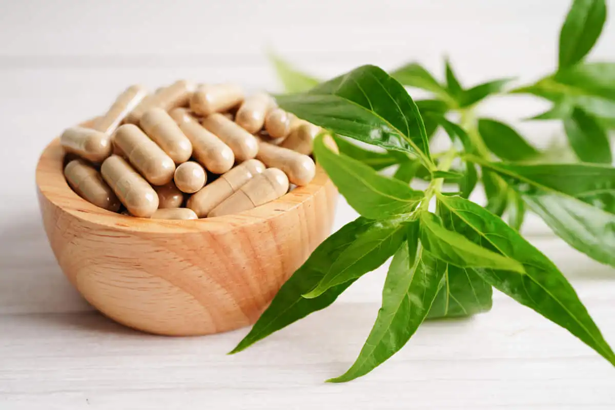 15 Manfaat Daun Sambiloto: Solusi Herbal untuk Jaga Daya Tahan Tubuh